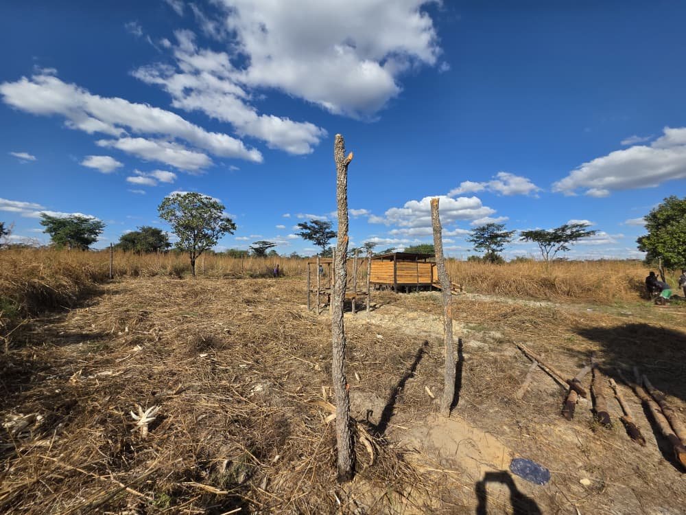 Construction of goat housing